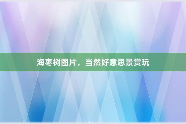 海枣树图片，当然好意思景赏玩