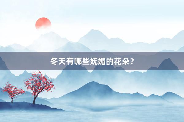 冬天有哪些妩媚的花朵？